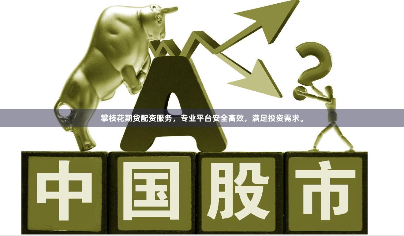 攀枝花期货配资服务，专业平台安全高效，满足投资需求。