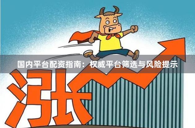 国内平台配资指南：权威平台筛选与风险提示
