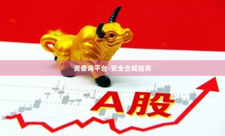 资查询平台-安全合规指南