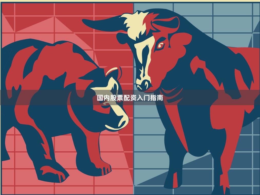国内股票配资入门指南
